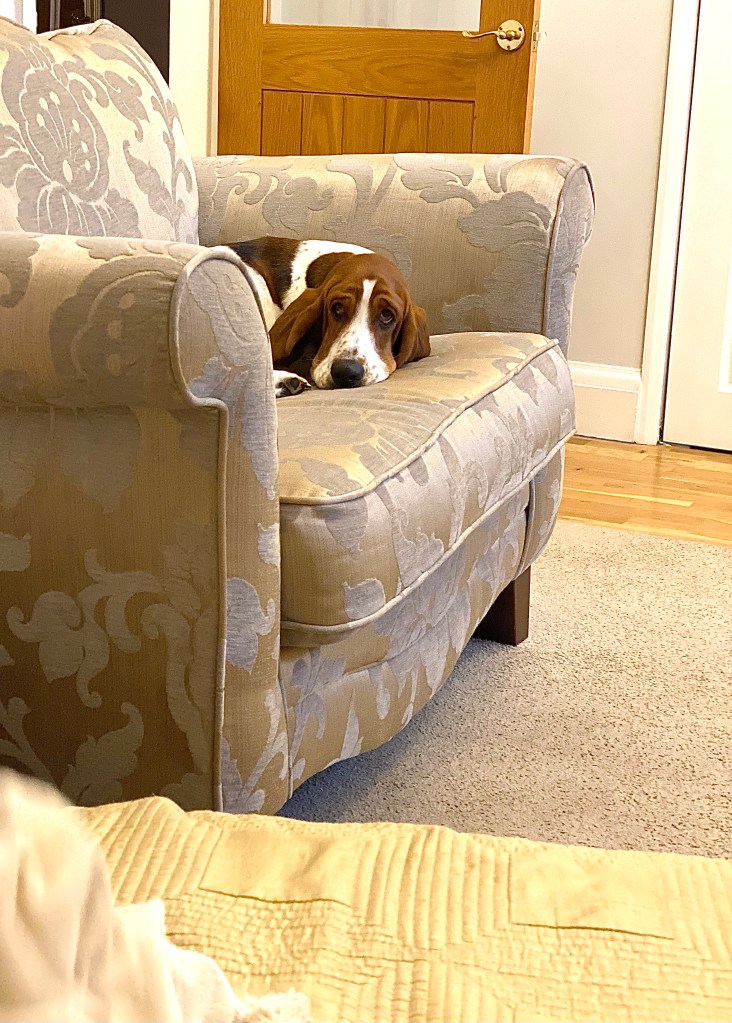 Lillia sat by herself in our chair