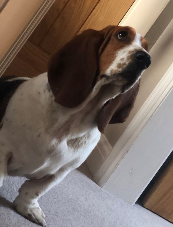 Lillia looking in the mirror