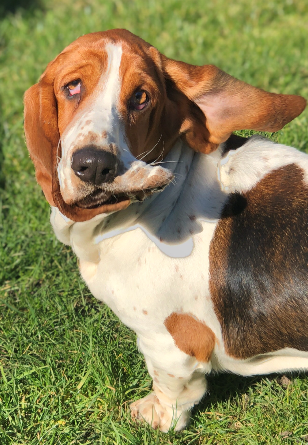 Lillia looking Funny